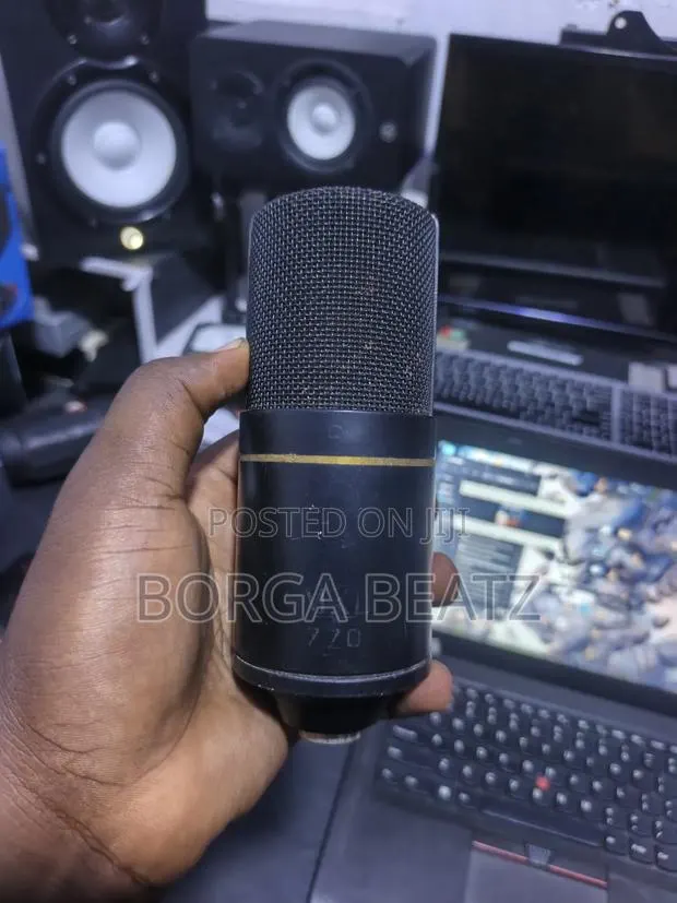 MXL 770 Studio Microphone · Photo 1
