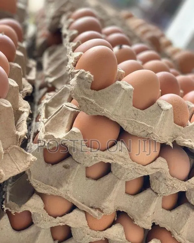 Chicken Eggs · Photo 1