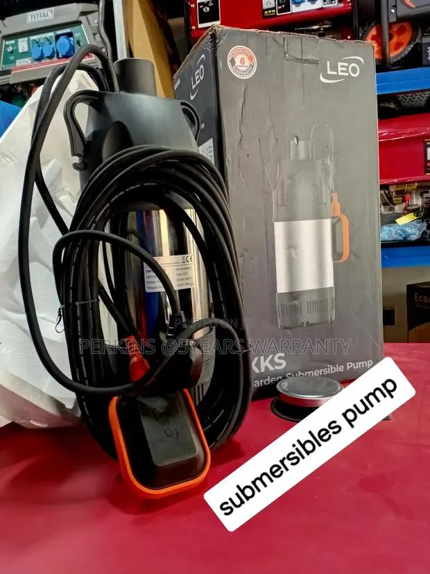 100% Stainless Steel Garden Submersible Pump 1.5hp Leo Pump · Photo 1