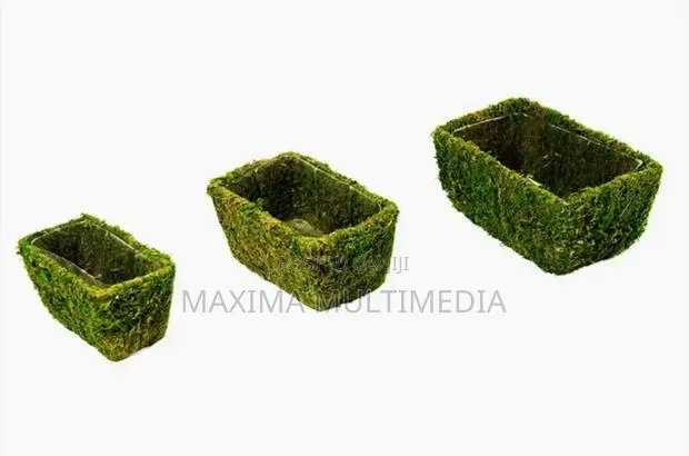 Moss Basket · Photo 1