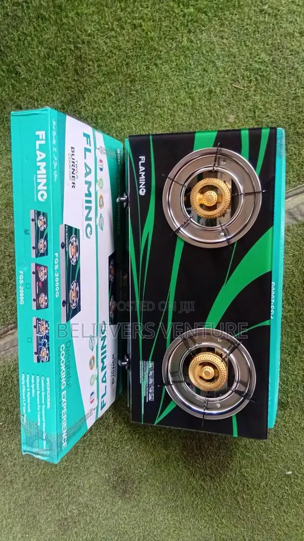 Flamino 2-Burner Gas Cooker – Cook Fast, Cook Easy · Photo 1
