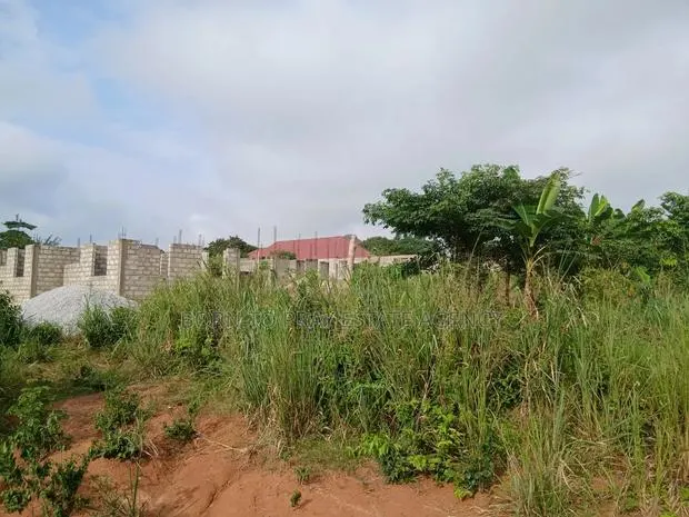 90*100 Full Plot of Land · Photo 1