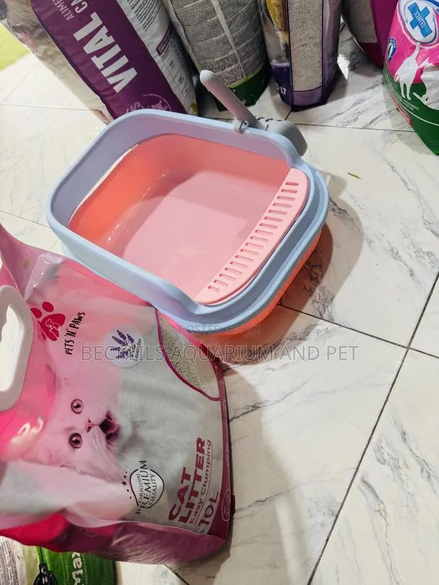 Spacious Catlitter Box With Litter Sand · Photo 1