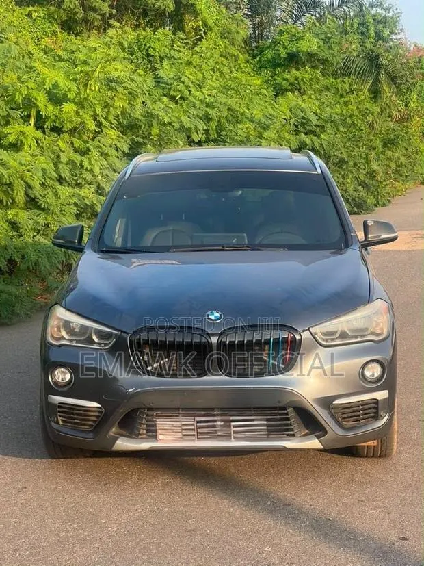 BMW X1 2017 · Photo 1