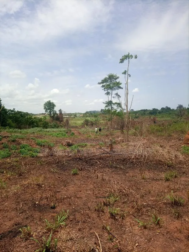 Alpha Estate Land for Sale at Kasoa Buduatta · Photo 1