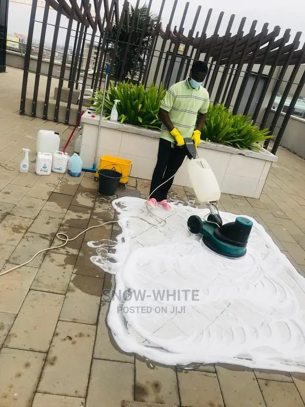 Professional Cleaning Services · Photo 1