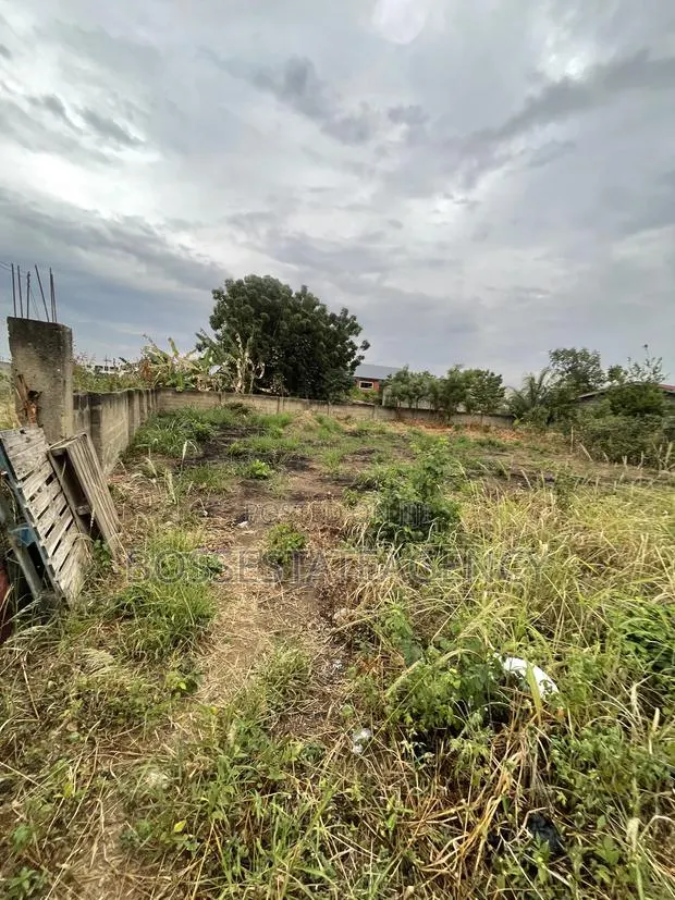 Genuine Half Plot for Sale · Photo 1