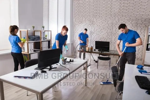 Cleaners 4YOUR House · Photo 1